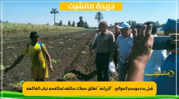 قبل بدء موسم الموالح.. الزراعة تطلق حملات مكثفة لمكافحة ذباب الفاكهة 1